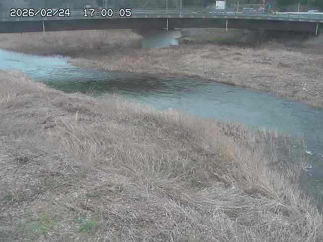 野坂川３2026/02/25 02:20