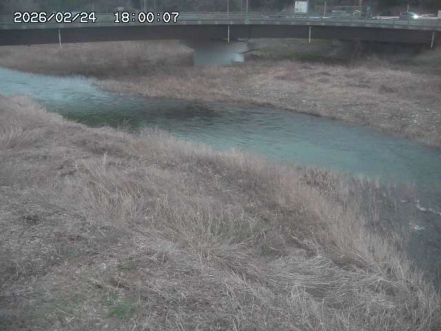 野坂川３2026/02/25 02:20