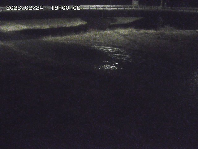 野坂川３2026/02/25 02:20