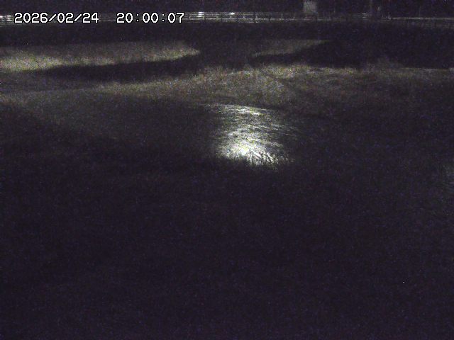 野坂川３2026/02/25 02:20