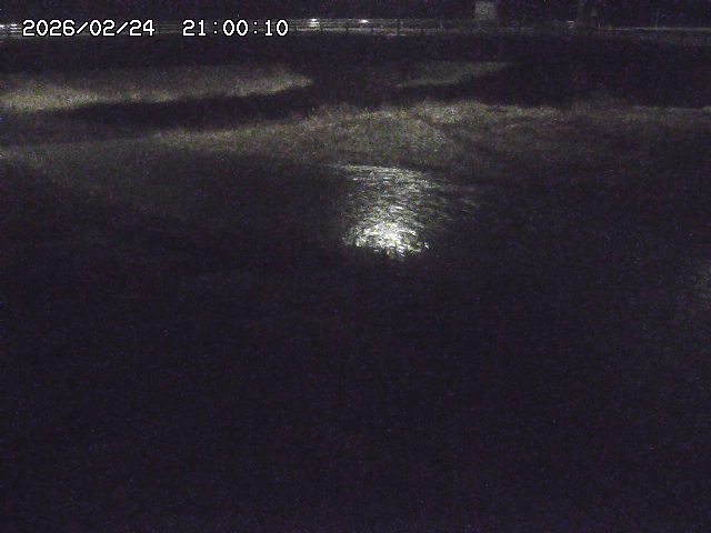 野坂川３2026/02/25 02:20