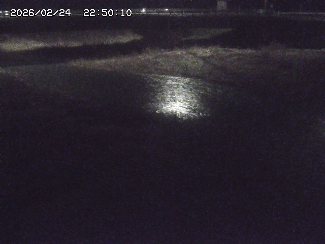 野坂川３2026/02/25 02:20