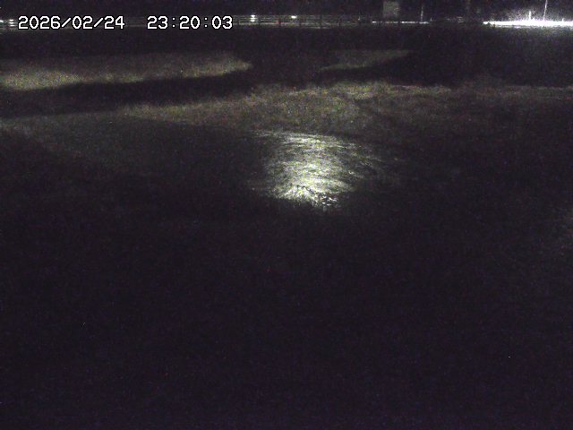 野坂川３2026/02/25 02:20