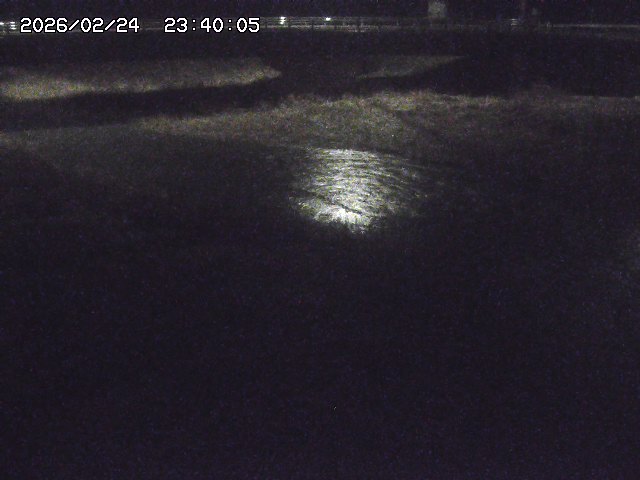 野坂川３2026/02/25 02:20