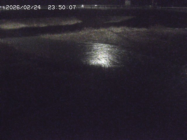 野坂川３2026/02/25 02:20