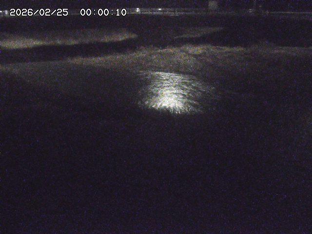 野坂川３2026/02/25 02:20