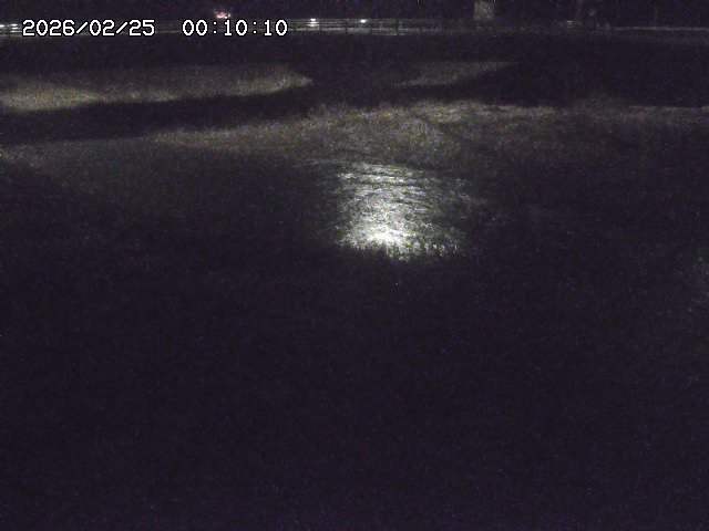 野坂川３2026/02/25 02:20