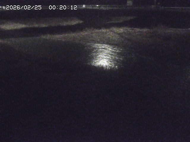 野坂川３2026/02/25 02:20