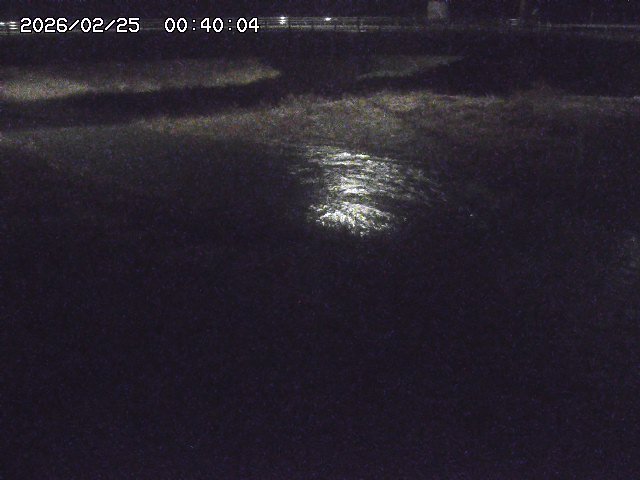 野坂川３2026/02/25 02:20