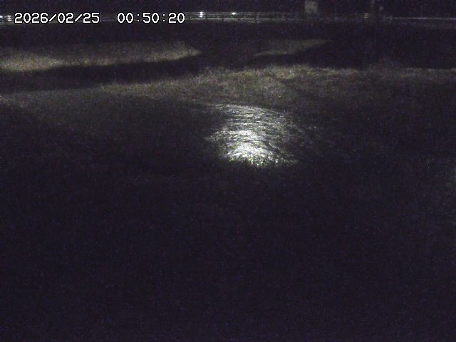 野坂川３2026/02/25 02:20