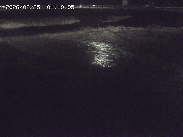 野坂川３2026/02/25 02:20