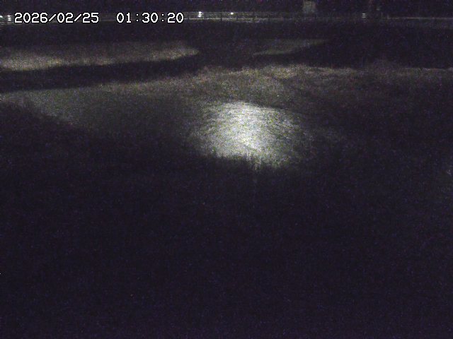 野坂川３2026/02/25 02:20