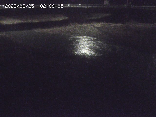 野坂川３2026/02/25 02:20