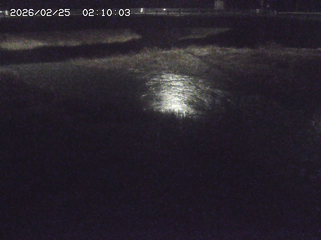 野坂川３2026/02/25 02:20