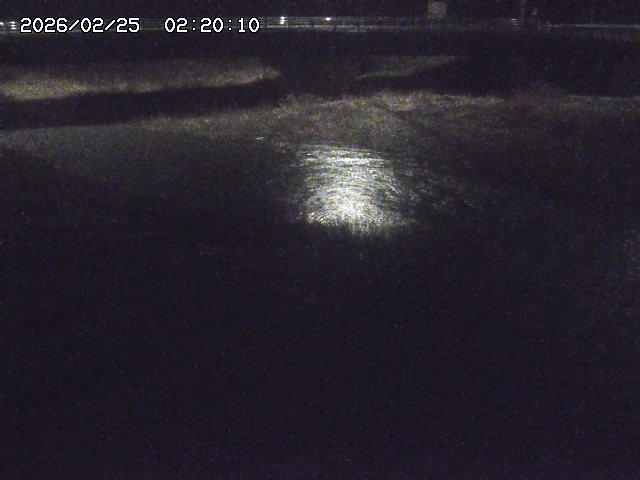 野坂川３2026/02/25 02:20