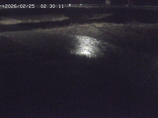 野坂川３2026/02/25 02:20