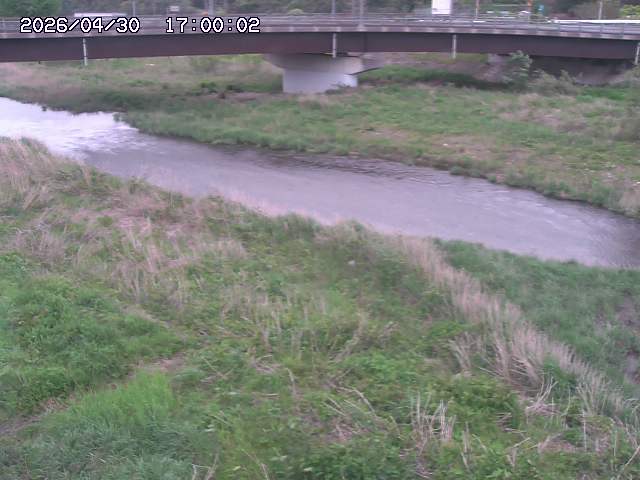 野坂川３2026/05/01 16:40