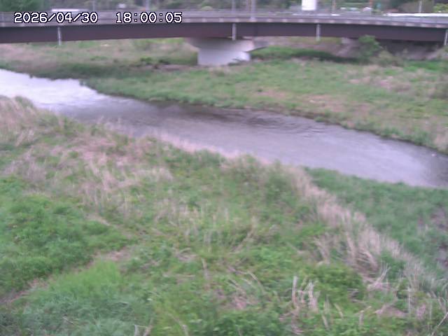 野坂川３2026/05/01 16:40