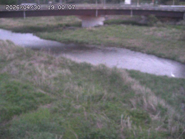 野坂川３2026/05/01 16:40
