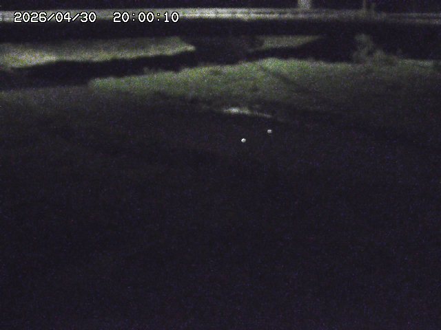 野坂川３2026/05/01 16:40