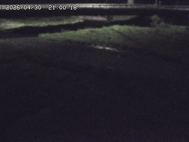 野坂川３2026/05/01 16:40