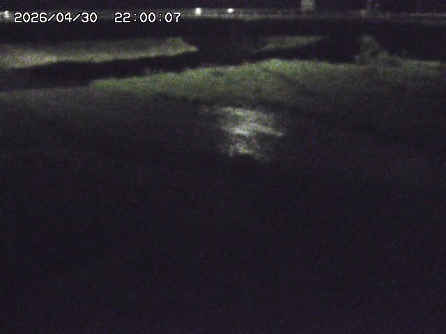 野坂川３2026/05/01 16:40