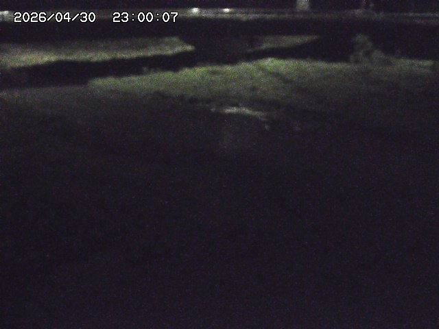 野坂川３2026/05/01 16:40