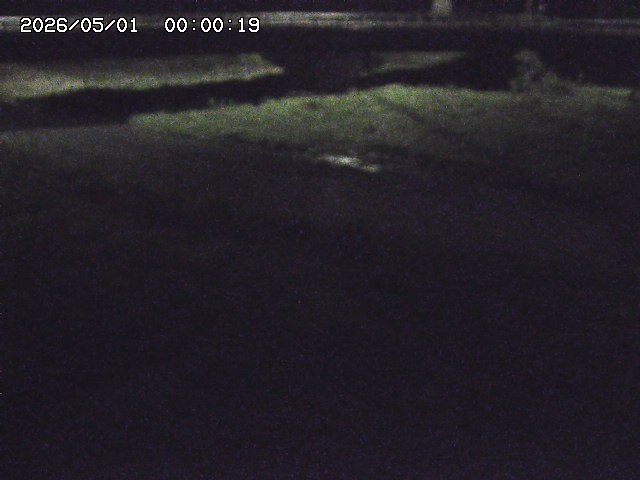 野坂川３2026/05/01 16:40