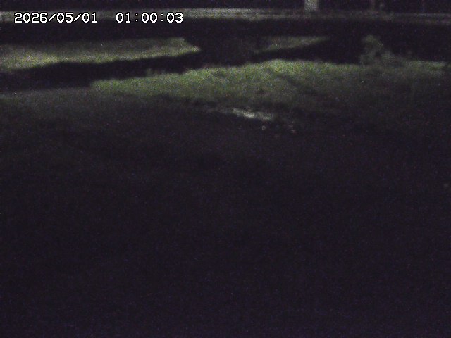 野坂川３2026/05/01 16:40