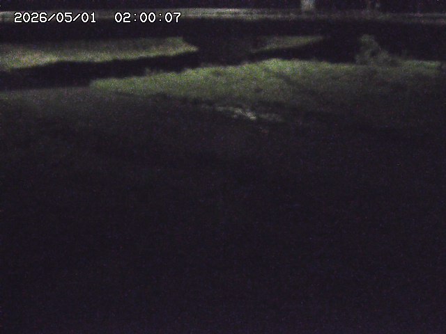 野坂川３2026/05/01 16:40
