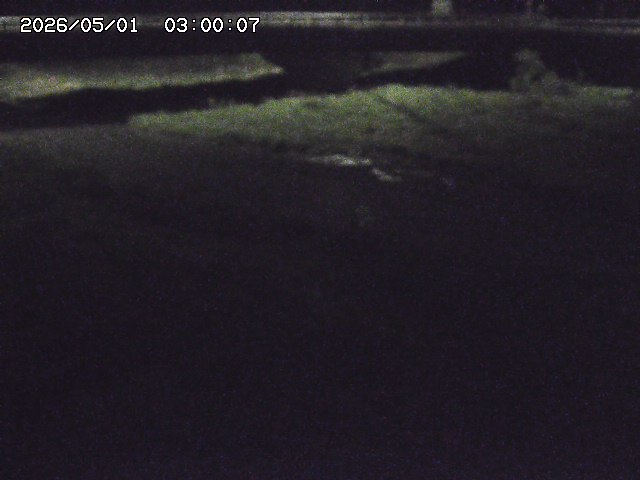 野坂川３2026/05/01 16:40