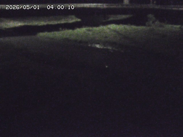 野坂川３2026/05/01 16:40