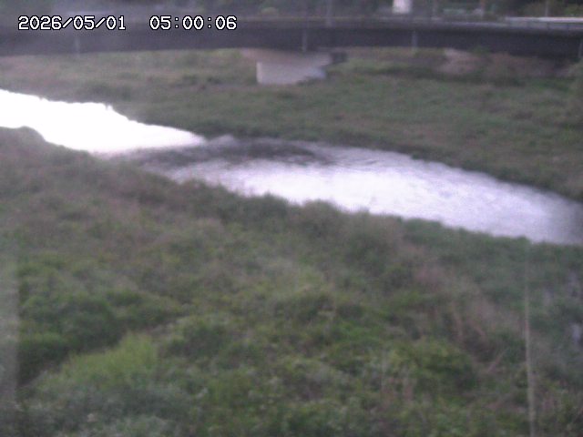 野坂川３2026/05/01 16:40