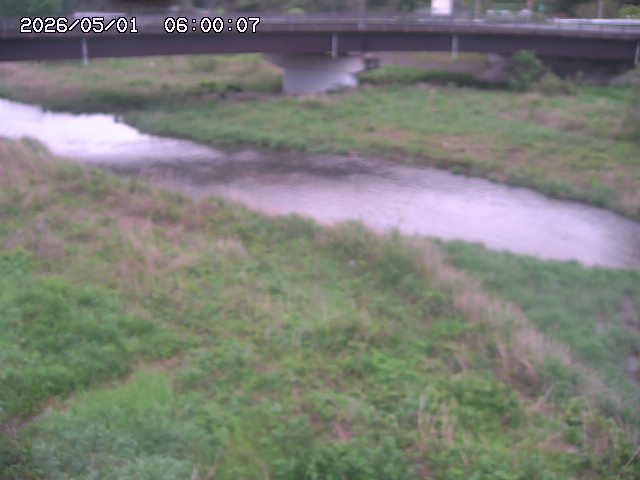 野坂川３2026/05/01 16:40