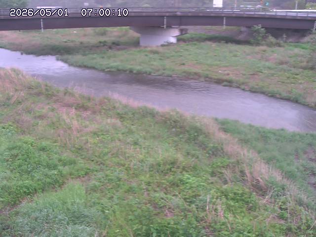 野坂川３2026/05/01 16:40