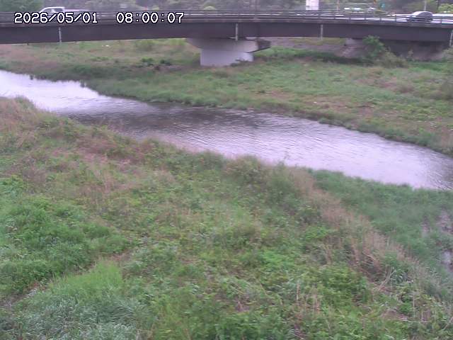 野坂川３2026/05/01 16:40