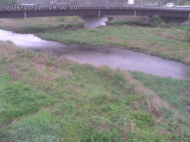 野坂川３2026/05/01 16:40