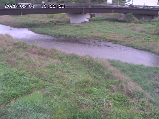 野坂川３2026/05/01 16:40