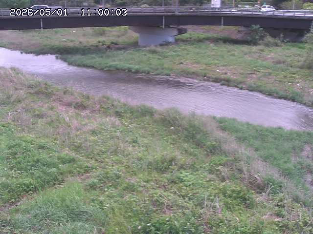野坂川３2026/05/01 16:40