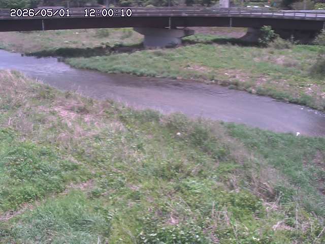 野坂川３2026/05/01 16:40