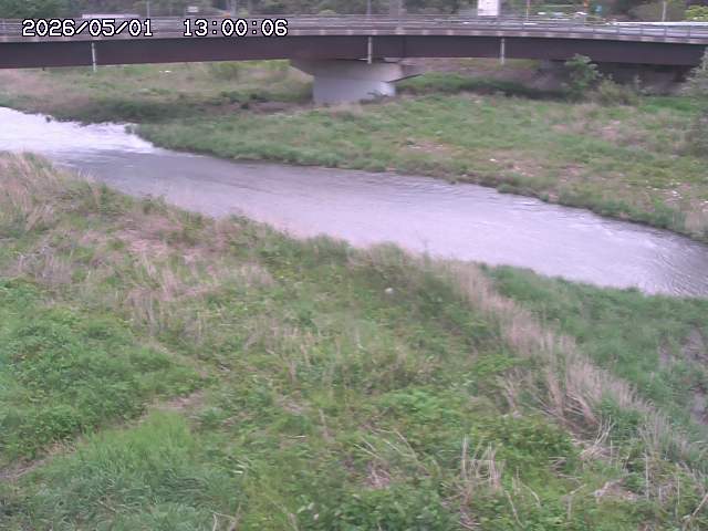 野坂川３2026/05/01 16:40