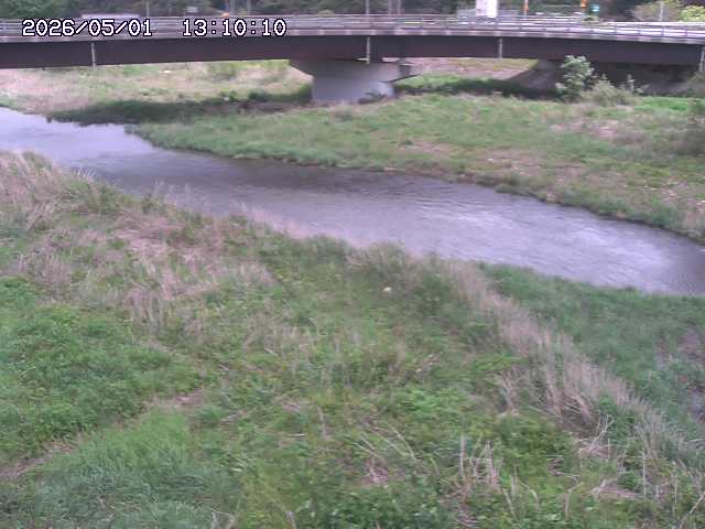 野坂川３2026/05/01 16:40