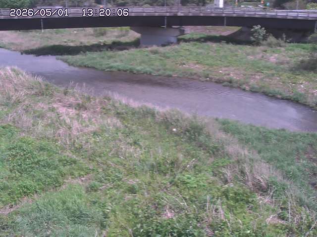 野坂川３2026/05/01 16:40