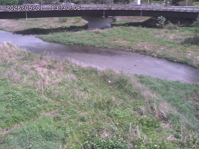 野坂川３2026/05/01 16:40