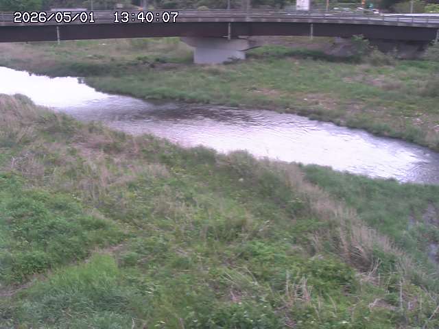 野坂川３2026/05/01 16:40