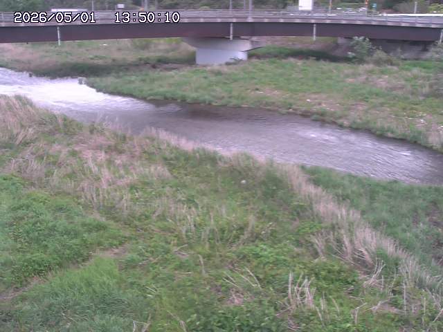 野坂川３2026/05/01 16:40