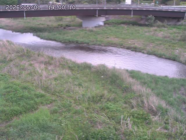 野坂川３2026/05/01 16:40