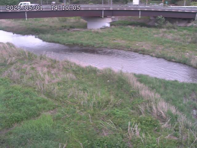 野坂川３2026/05/01 16:40