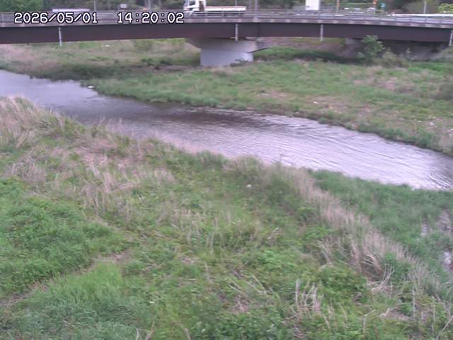 野坂川３2026/05/01 16:40