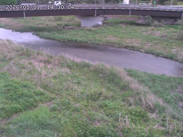 野坂川３2026/05/01 16:40